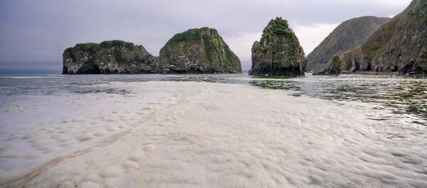 Bãi biển Khalaktyrsky trên bán đảo Kamchatka bị ô nhiễm chất độc hại. Bãi biển Khalaktyrsky trên bán đảo Kamchatka bị ô nhiễm chất độc hại. - Sputnik Việt Nam