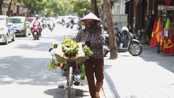 Người phụ nữ đeo khẩu trang ở Hà Nội. - Sputnik Việt Nam