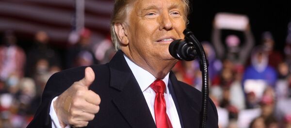 Tổng thống Mỹ Donald Trump tại Johnstown, Mỹ. Tổng thống Mỹ Donald Trump tại Johnstown, Mỹ. - Sputnik Việt Nam