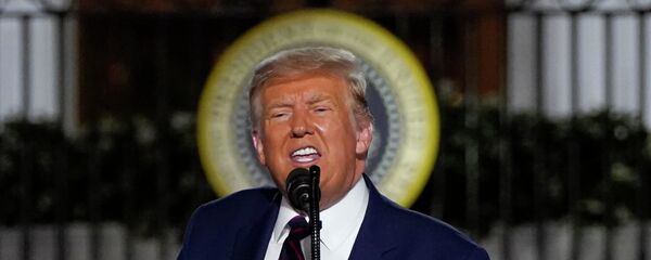 Tổng thống Hoa Kỳ Donald Trump. - Sputnik Việt Nam