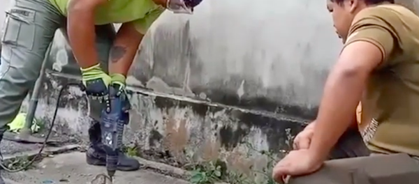 Giải thoát con trăn bị mắc kẹt ở Thái Lan. - Sputnik Việt Nam