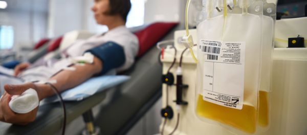 Túi huyết tương trong khoa điều trị của Trung tâm Máu của Cơ quan Y tế và Sinh học Liên bang ở Moskva Túi huyết tương trong khoa điều trị của Trung tâm Máu của Cơ quan Y tế và Sinh học Liên bang ở Moskva - Sputnik Việt Nam