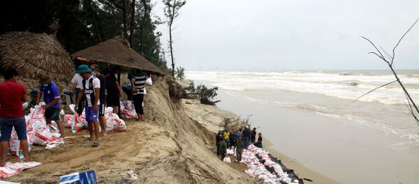 Các lực lượng cùng với người dân làm kè tạm chống sạt lở bờ biển. - Sputnik Việt Nam