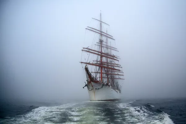 Thuyền buồm Sedov trong Vịnh Kola ở tỉnh Murmansk, Nga Thuyền buồm Sedov trong Vịnh Kola ở tỉnh Murmansk, Nga - Sputnik Việt Nam