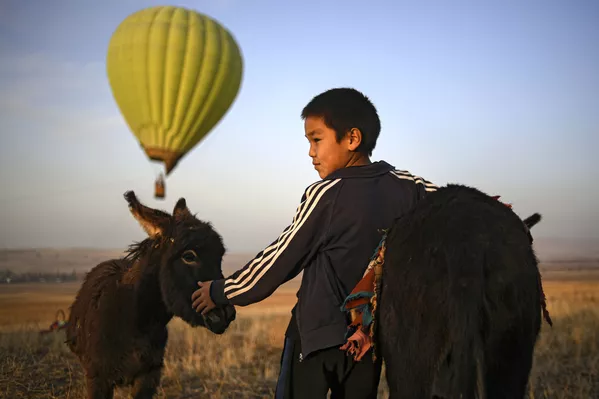 Cậu bé với con lừa ở ngoại ô thành phố Bishkek Cậu bé với con lừa ở ngoại ô thành phố Bishkek - Sputnik Việt Nam