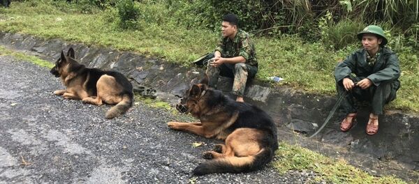 Lực lượng cứu hộ, cứu nạn sử dụng chó nghiệp vụ trên đường triển khai tới hiện trường vụ sạt lở. - Sputnik Việt Nam