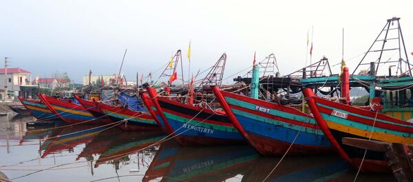 Tàu, thuyền về tránh trú bão ở âu thuyền xã Thạch Kim huyện Lộc Hà. - Sputnik Việt Nam