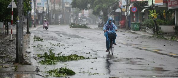 Cành cây gãy đổ khi gió giật ở Việt Nam  - Sputnik Việt Nam
