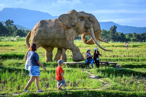 Voi rơm ở công viên giải trí gần thành phố Chiang Mai, Thái Lan - Sputnik Việt Nam