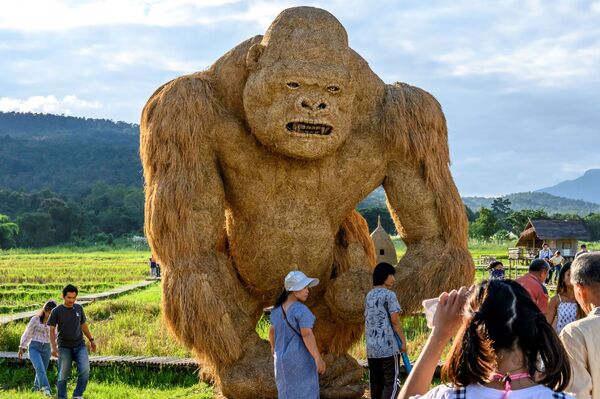 Khỉ đột rơm tại công viên giải trí gần Chiang Mai, Thái Lan - Sputnik Việt Nam