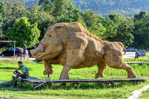 Lợn rừng làm từ rơm rạ tại công viên giải trí gần thành phố Chiang Mai, Thái Lan - Sputnik Việt Nam