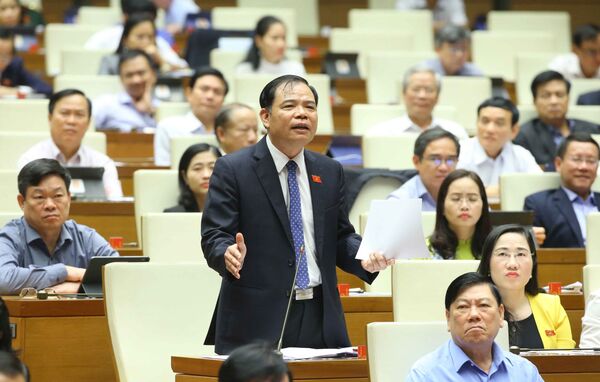 Vì sao mất rừng? Nữ Trung tá Công an tranh luận “nóng” với Bộ trưởng Trần Hồng Hà Vì sao mất rừng? Nữ Trung tá Công an tranh luận “nóng” với Bộ trưởng Trần Hồng Hà - Sputnik Việt Nam