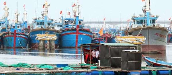 Lồng bè và tàu thuyền của ngư dân Ninh Thuận đã được neo đậu tránh bão tại cảng cá Ninh Chử, thành phố Phan Rang-Tháp Chàm. - Sputnik Việt Nam