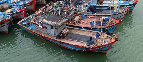 Tàu cá của ngư dân các tỉnh, thành phố Khu vực miền Trung về neo đậu tránh bão số 10 tại Âu thuyền Thọ Quang (Đà Nẵng). - Sputnik Việt Nam