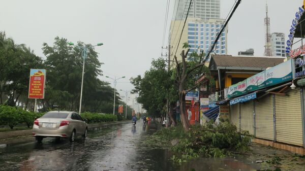 COVID-19, thiên tai chưa từng có trong năm 2020 không làm Việt Nam lao đao - Sputnik Việt Nam