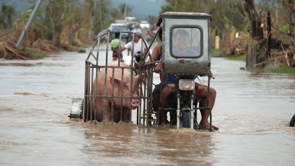 Người lái xe mô tô chở lợn dọc theo con đường ngập lụt do bão Vamco ở tỉnh Albay, Philippines - Sputnik Việt Nam