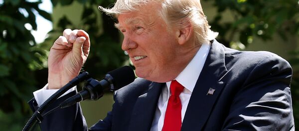 Tổng thống Mỹ Donald Trump tại Washington - Sputnik Việt Nam