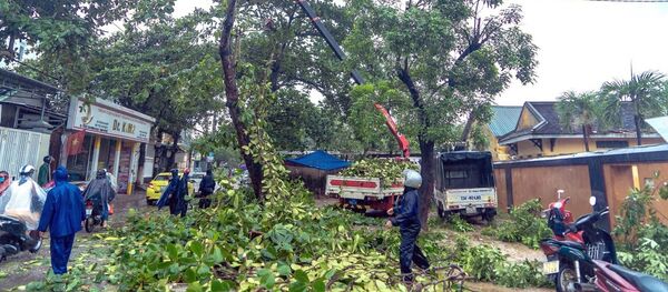 Cắt tỉa cây xanh trong khu vực Đại Nội (Khu di tích Cố đô Huế) Cắt tỉa cây xanh trong khu vực Đại Nội (Khu di tích Cố đô Huế) - Sputnik Việt Nam