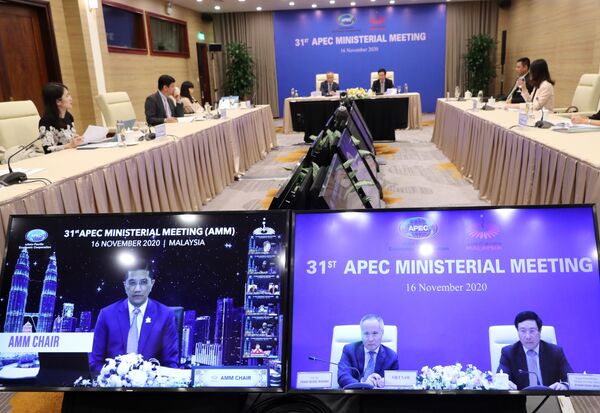 Việt Nam và các nước thành viên APEC đoàn kết vượt qua “cú sốc” khủng hoảng Việt Nam và các nước thành viên APEC đoàn kết vượt qua “cú sốc” khủng hoảng - Sputnik Việt Nam