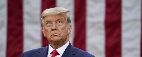 Tổng thống Mỹ Donald Trump trên nền lá cờ Mỹ - Sputnik Việt Nam