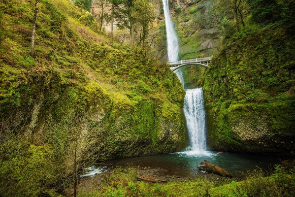 Cầu bắc qua thác Multnomah ở hẻm núi Columbia, Oregon, Mỹ - Sputnik Việt Nam