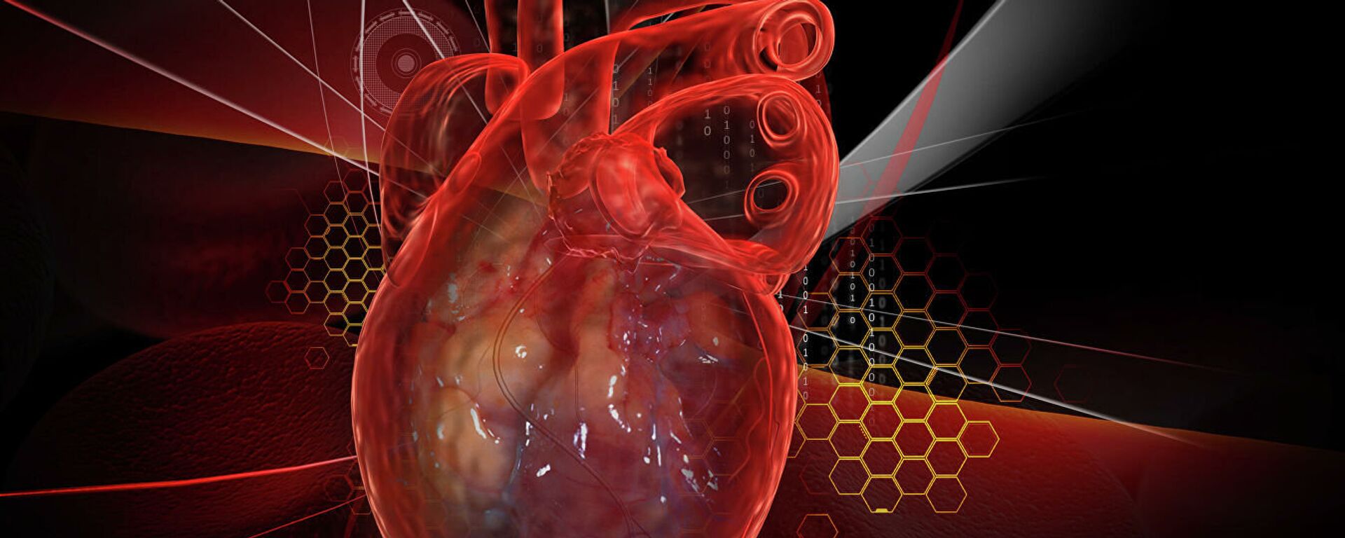 Trái tim con người với ECG - Sputnik Việt Nam, 1920, 29.01.2021