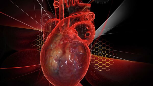 Trái tim con người với ECG - Sputnik Việt Nam