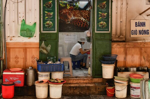 2020 – Năm rực rỡ chiến thắng của Việt Nam - Sputnik Việt Nam