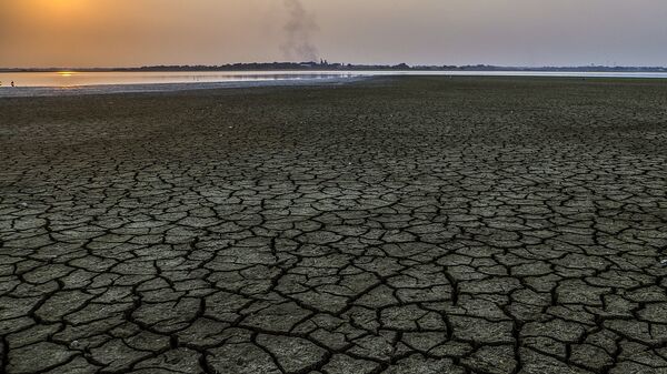 Hạn hán. Ảnh hưởng của El Niño - Sputnik Việt Nam