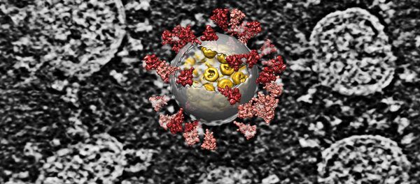 Tiến hành tái tạo máy tính trên hình ảnh vi rút SARS-CoV-2 Tiến hành tái tạo máy tính trên hình ảnh vi rút SARS-CoV-2 - Sputnik Việt Nam