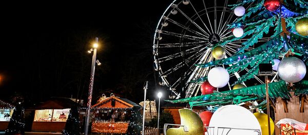 Cánh cổng đóng kín của Disneyland Paris. Cánh cổng đóng kín của Disneyland Paris. - Sputnik Việt Nam