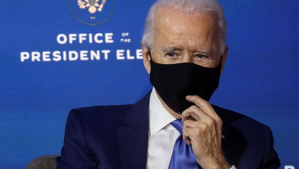 Tổng thống đắc cử của Hoa Kỳ Joe Biden ngày 1 tháng 12 năm 2020 - Sputnik Việt Nam