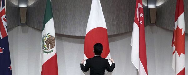 Comprehensive and Progressive Agreement for Trans-Pacific Partnership (CPTPP) Comprehensive and Progressive Agreement for Trans-Pacific Partnership (CPTPP) - Sputnik Việt Nam