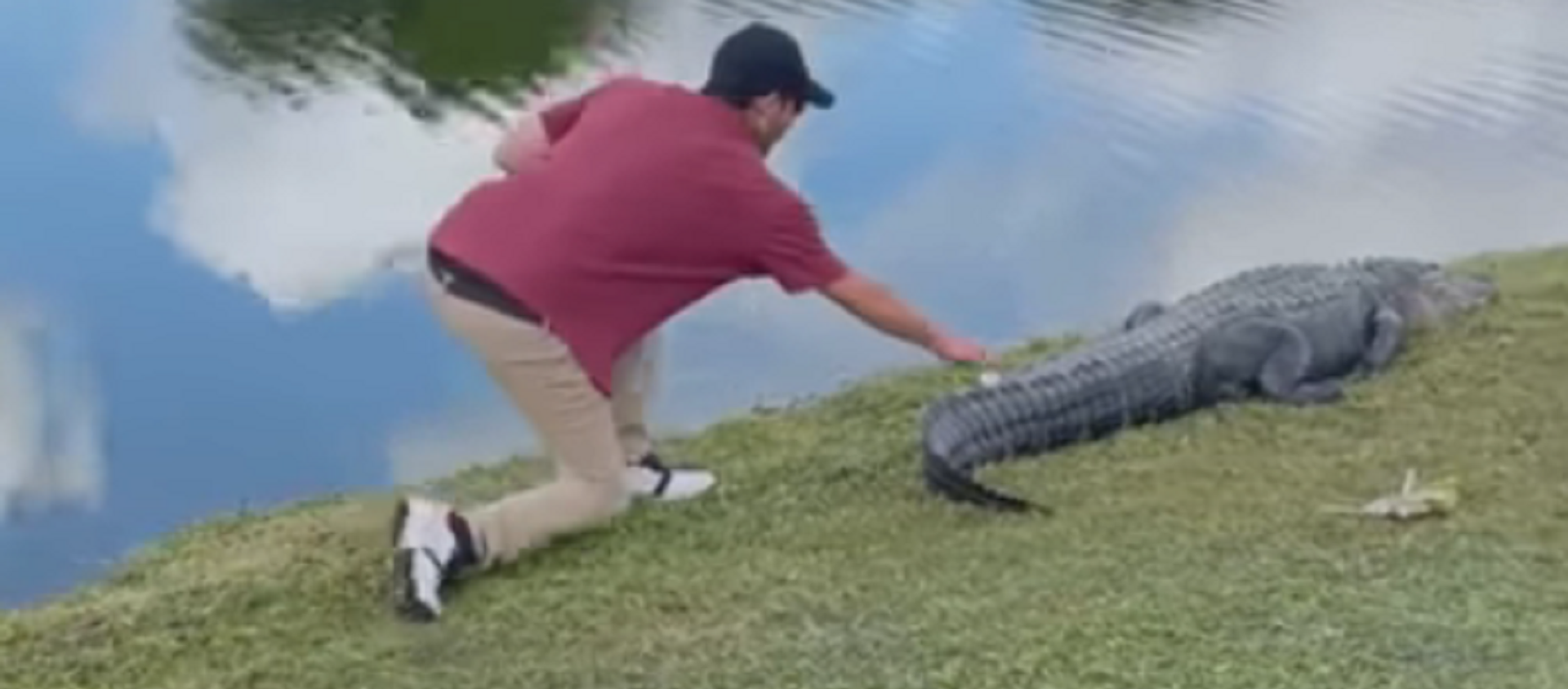 Những kẻ gây rắc rối: cá sấu không được tắm nắng trên sân golf ở Florida Những kẻ gây rắc rối: cá sấu không được tắm nắng trên sân golf ở Florida - Sputnik Việt Nam, 1920, 19.12.2020