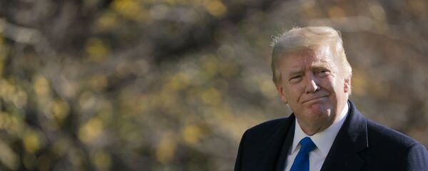 Tổng thống Donald Trump đi dạo trên Bãi cỏ phía Nam của Nhà Trắng ở Washington, Chủ nhật, ngày 29 tháng 11 năm 2020, sau khi rời Marine One. Trump đang trở về từ Trại David Tổng thống Donald Trump đi dạo trên Bãi cỏ phía Nam của Nhà Trắng ở Washington, Chủ nhật, ngày 29 tháng 11 năm 2020, sau khi rời Marine One. Trump đang trở về từ Trại David - Sputnik Việt Nam