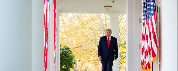 Tổng thống Donald Trump tại Nhà Trắng ở Washington, Mỹ - Sputnik Việt Nam