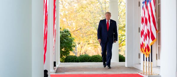 Tổng thống Donald Trump tại Nhà Trắng ở Washington, Mỹ - Sputnik Việt Nam