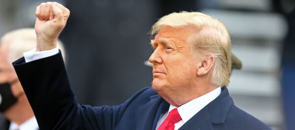 Donald Trump - Sputnik Việt Nam