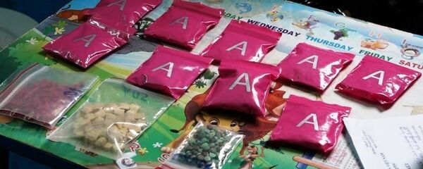 Hơn 2.400 viên ma túy bị lực lượng chức năng phát hiện, thu giữ - Sputnik Việt Nam