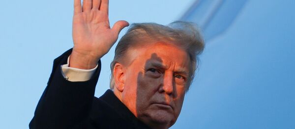 Donald Trump Donald Trump - Sputnik Việt Nam