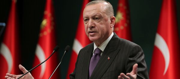 Tổng thống Thổ Nhĩ Kỳ Recep Tayyip Erdogan Tổng thống Thổ Nhĩ Kỳ Recep Tayyip Erdogan - Sputnik Việt Nam