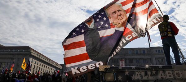 Cờ mô tả Tổng thống Mỹ Donald Trump tại cuộc biểu tình phản đối kết quả bầu cử ở Washington, Mỹ Cờ mô tả Tổng thống Mỹ Donald Trump tại cuộc biểu tình phản đối kết quả bầu cử ở Washington, Mỹ - Sputnik Việt Nam