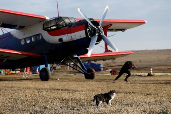Người đàn ông kéo chiếc máy bay An-2 ở Stavropol - Sputnik Việt Nam