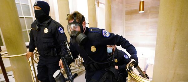 Biểu tình ủng hộ đương kim Tổng thống Mỹ Donald Trump - Sputnik Việt Nam