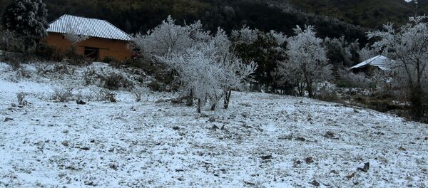 Tuyết rơi phủ trắng xóa tại xã Y Tý, huyện Bát Xát. - Sputnik Việt Nam