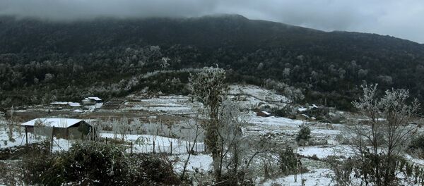 Tuyết rơi phủ trắng làng bản tại xã Y Tý, huyện Bát Xát. - Sputnik Việt Nam