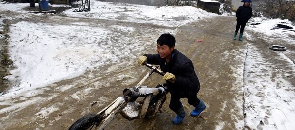 Cậu bé trên đường sau khi tuyết rơi ở Việt Nam - Sputnik Việt Nam