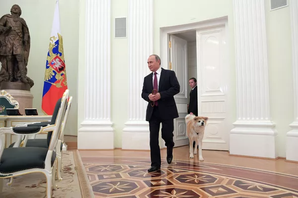 Tổng thống Nga Vladimir Putin với chú chó Akita Inu Yume trước cuộc phỏng vấn ở Điện Kremlin Tổng thống Nga Vladimir Putin với chú chó Akita Inu Yume trước cuộc phỏng vấn ở Điện Kremlin - Sputnik Việt Nam