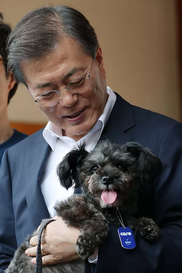Tổng thống Hàn Quốc Moon Jae In với chú chó Tori ở Seoul Tổng thống Hàn Quốc Moon Jae In với chú chó Tori ở Seoul - Sputnik Việt Nam