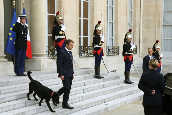 Tổng thống Pháp Emmanuel Macron rời Điện Elysee ở Paris, với chú chó tên Nemo hộ tống - Sputnik Việt Nam